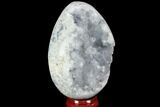 Crystal Filled Celestine (Celestite) Egg Geode - Madagascar #98820-2